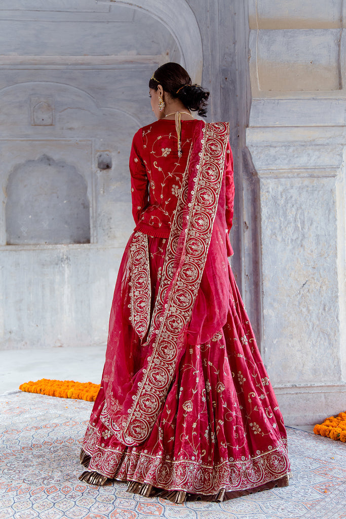 Rati Jaal Lehenga Gulabo Jaipur